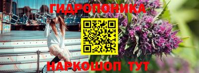 шишки Малоярославец