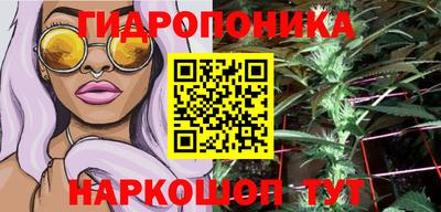 шишки Малоярославец