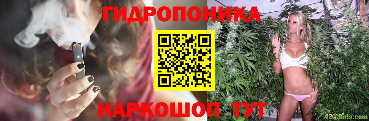 Шишки марихуана тримм  Бошки марихуана ГИДРОПОН  Вход с VPN  Бошки марихуана планчик  Конопля White Widow  Добрянка 